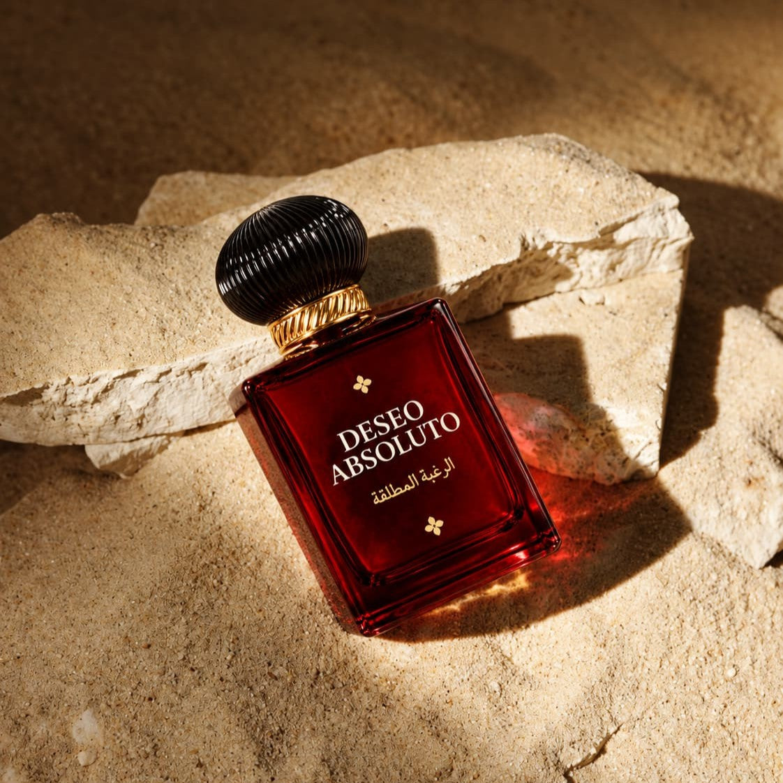Absoluto - Eau de Parfum con aceites árabes